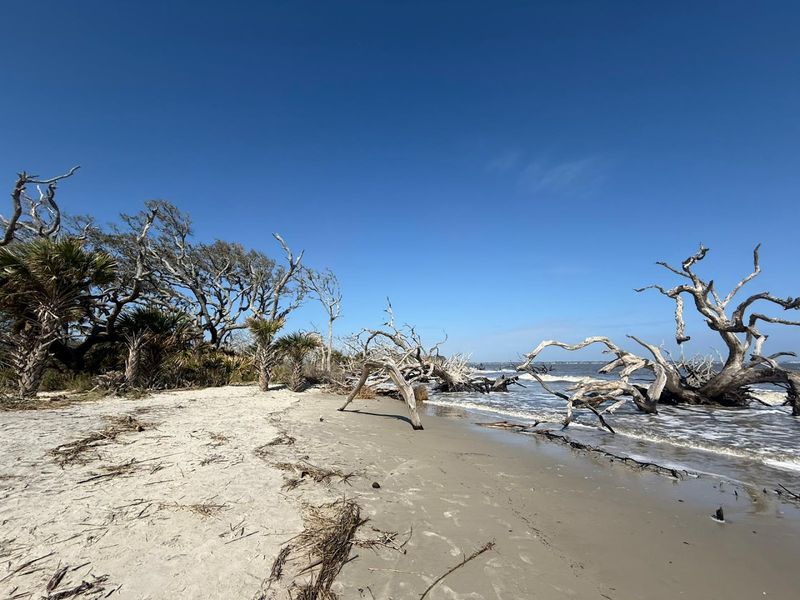 Strolling the Shore Without Crowds