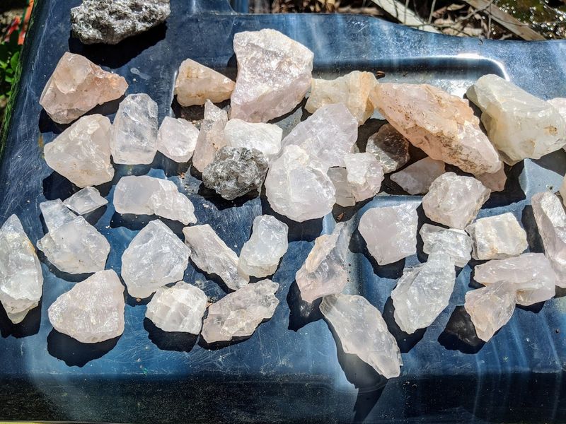 Walk Away With Unique Natural Souvenirs