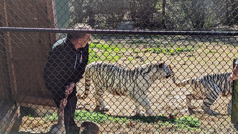 Enjoy an easy North Georgia day trip