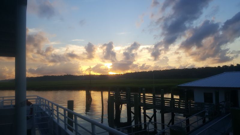 Conservation Efforts That Keep Sapelo Worth Visiting