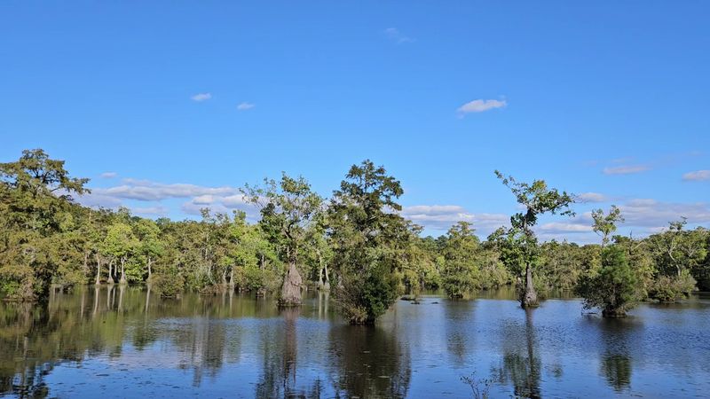 This Hidden North Carolina State Park Feels Like One Of The State’s Best-Kept Secrets - Decor Hint Paddle Routes