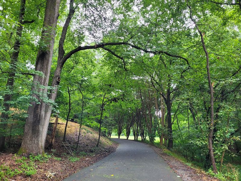 Lullwater Preserve Trail