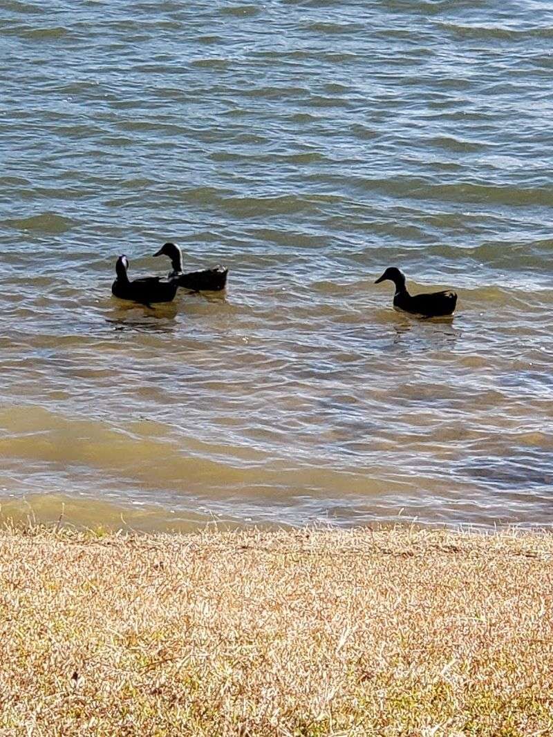 Wildlife Watching Is Genuinely Spectacular Here