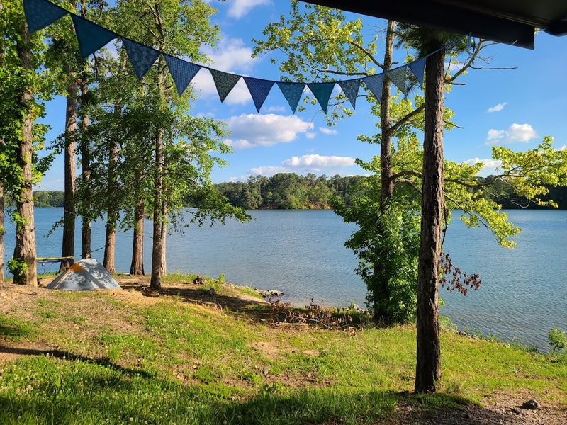 Fishing on Wind Creek is seriously underrated