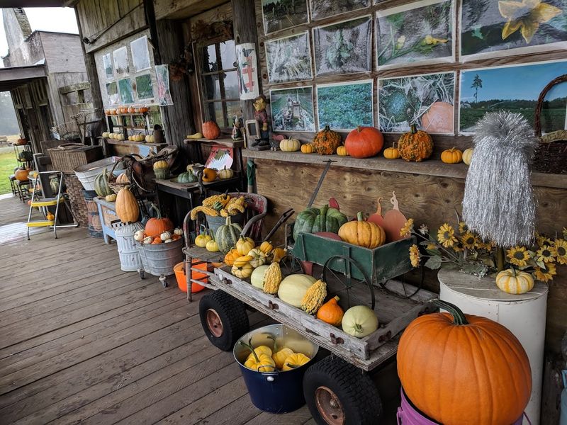 Pumpkin Patch Flea Market