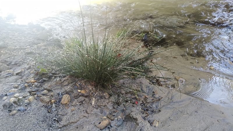 Small Side Creeks And Trickles