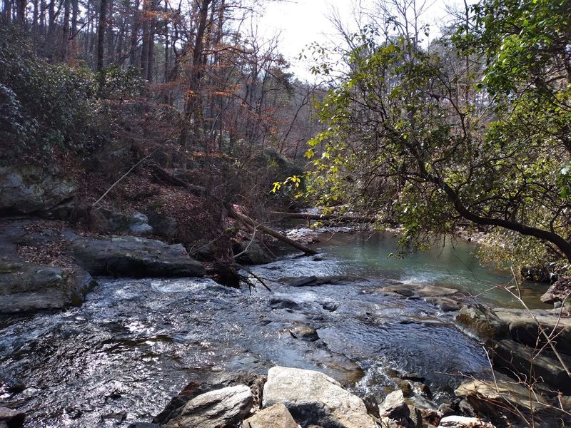 Lake Russell Wildlife Management Area