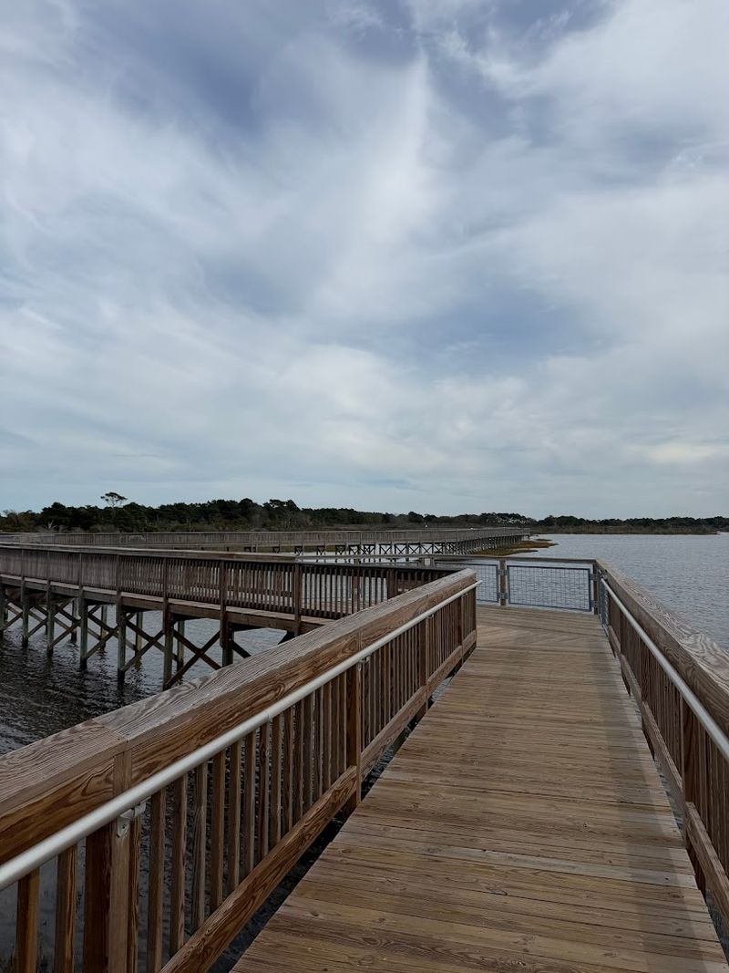 Life Of The Marsh Nature Trail