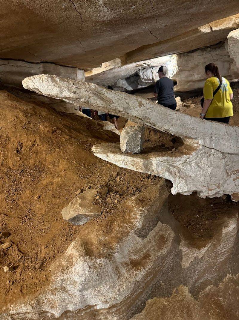 What The Guided Cave Tour Actually Feels Like