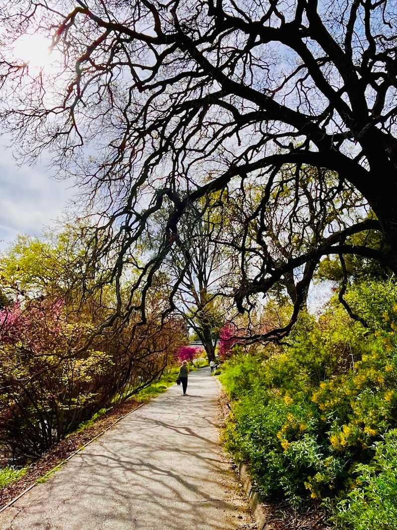 Spring Bloom Calendar Highlights