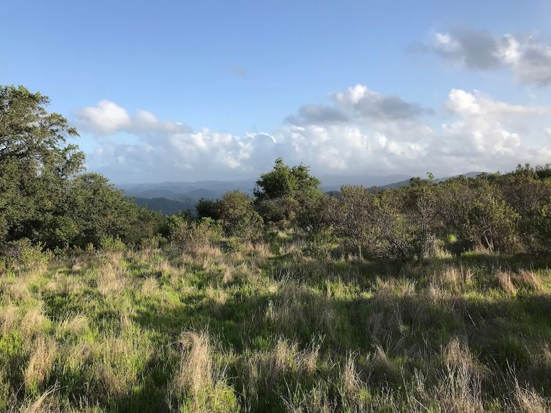 The Park Covers A Massive 5,700 Acres Of Rugged California Wilderness