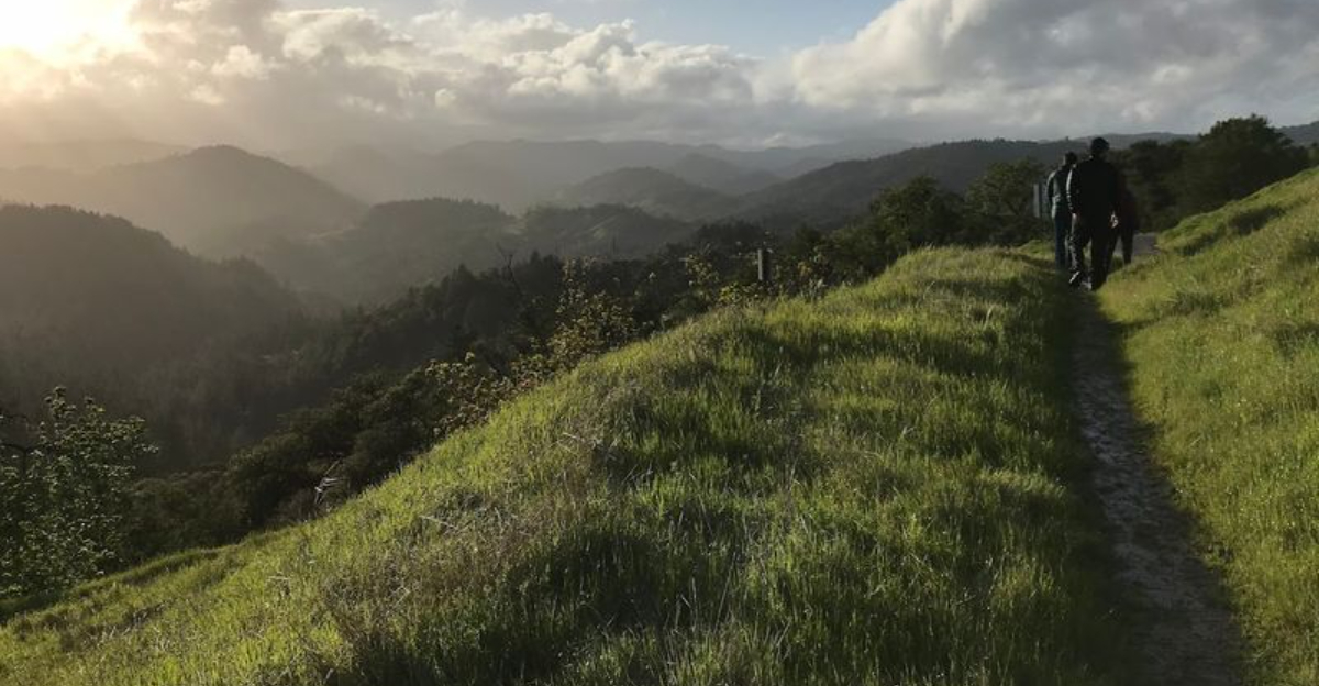 The 5700 Acre State Park In California That Most People Dont Know - Decor Hint