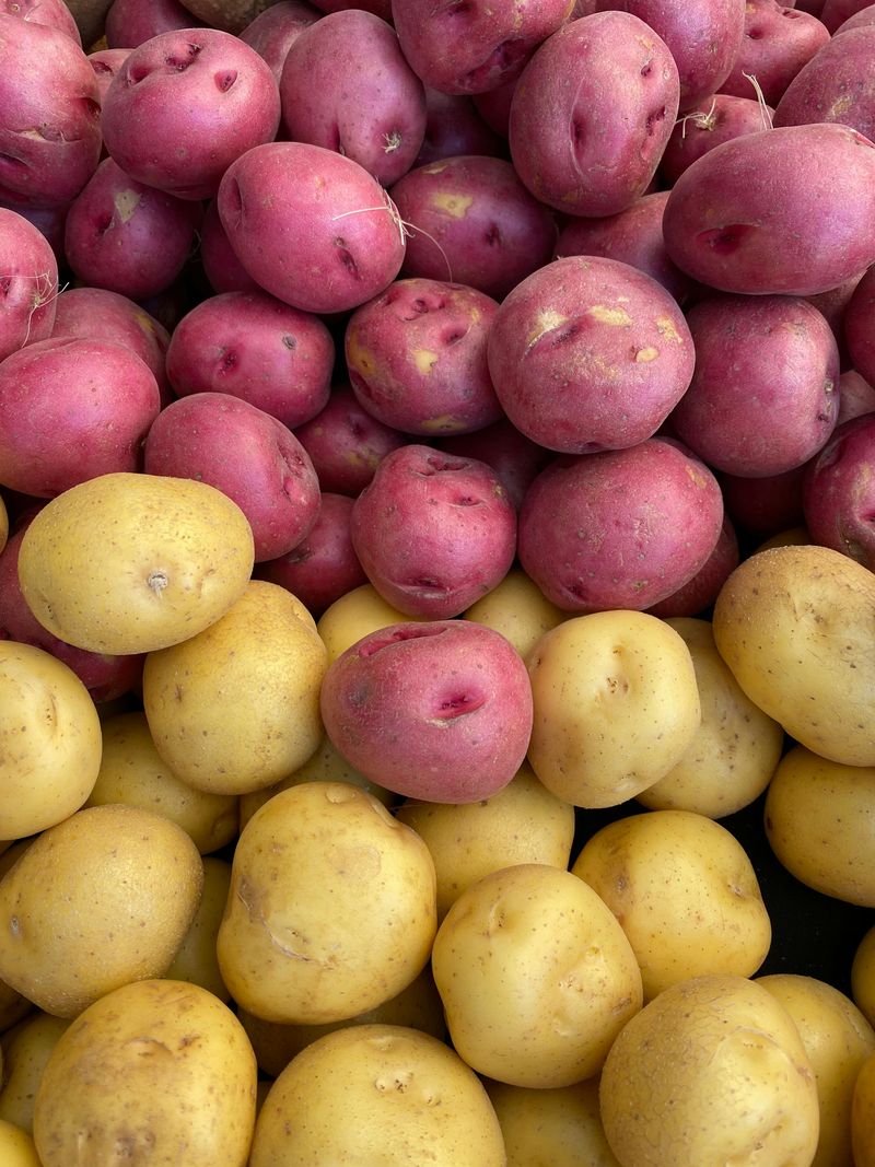 How To Plan Your Visit To Shelley, Idaho