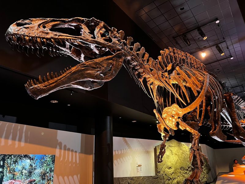 Houston Museum Of Natural Science