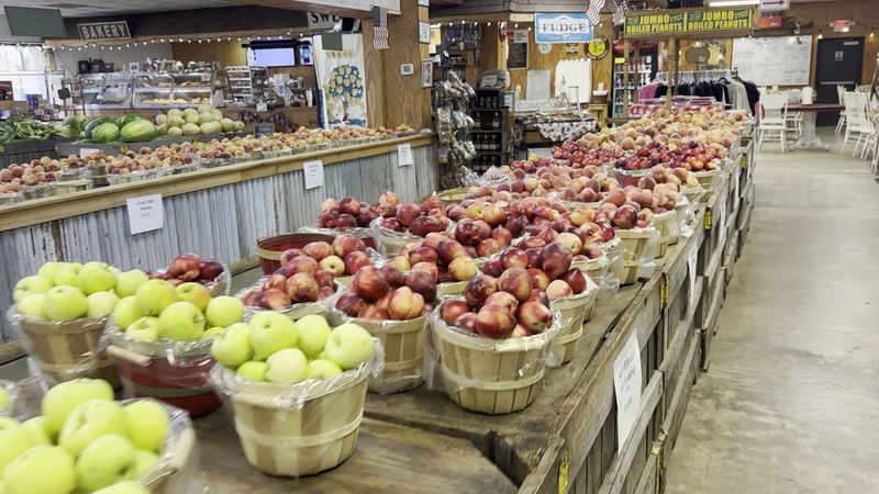 This Cozy Georgia Town Is Where Apple Pie And Calm Days Go Hand In Hand - Decor Hint Apple Orchards That Actually Deliver On The Hype