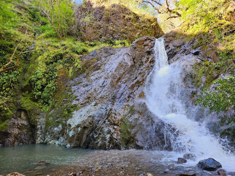 Redwood Forests And Vineyards Surround The Town On All Sides
