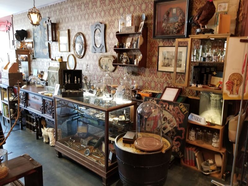 Three Rooms Full Of Curiosities That Reward Slow Browsing