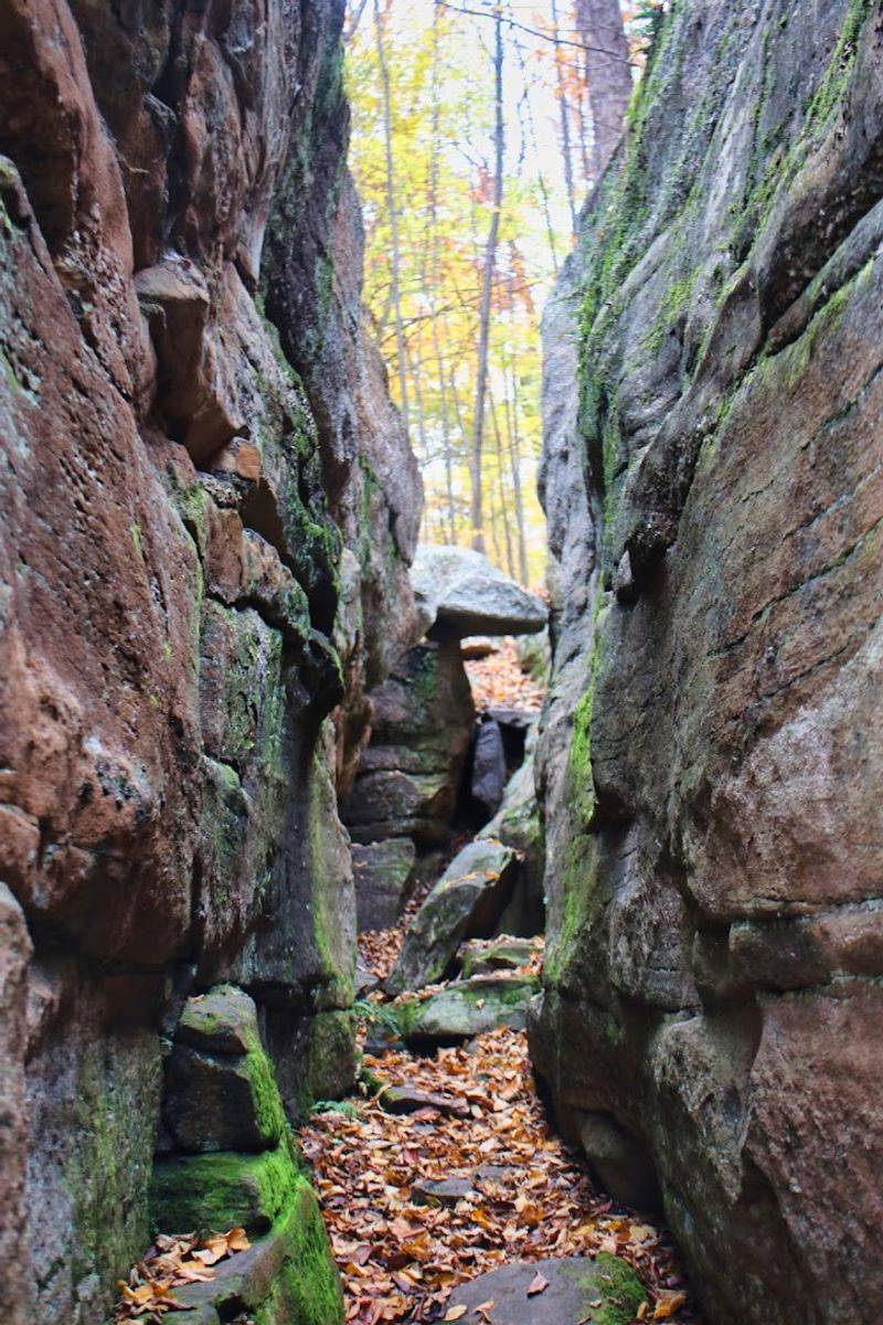 Worlds End State Park, Forksville