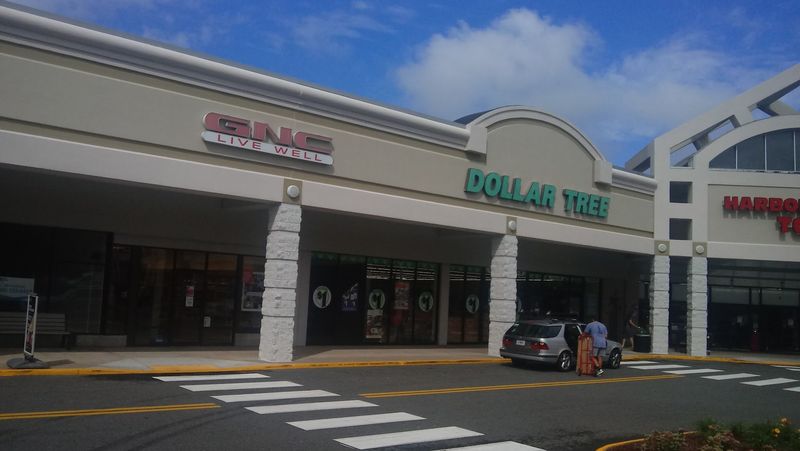 A Shopper's Guide To Dollar Tree In Vernon, CT