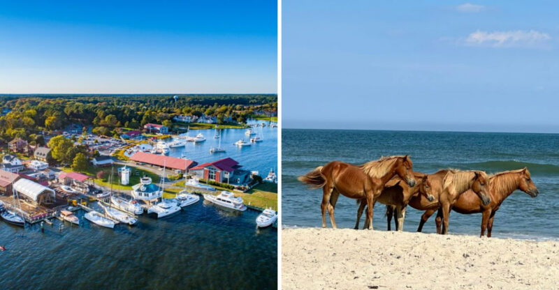 The Best Maryland Day Trips To Take Month By Month