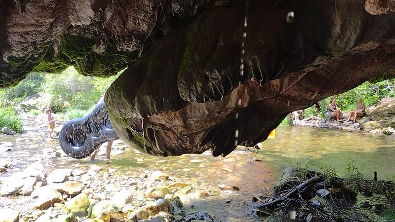 Conservation Efforts And Why Protecting This Place Matters