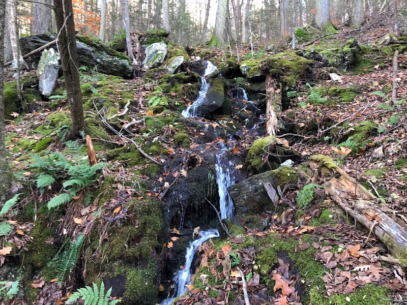 Hiking The Scenic Trails: What To Expect