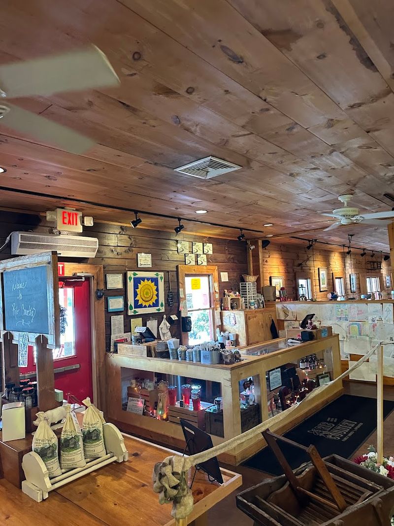 Cleveland Georgia as a Charming Road Trip Stop