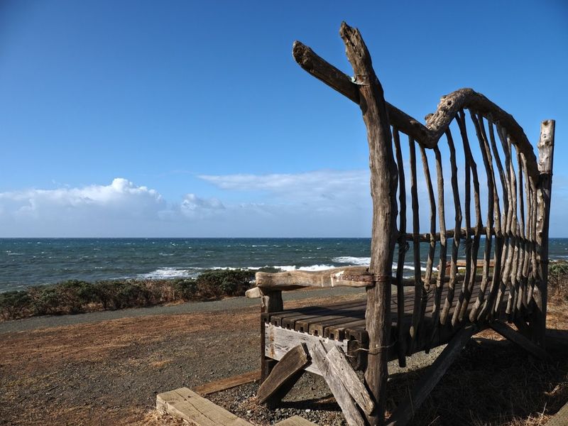 The Landscapes Shift In Surprising Ways
