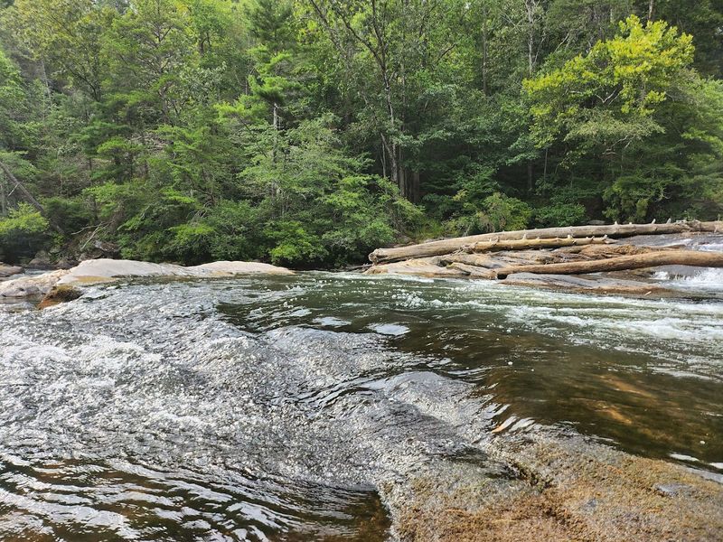 The Creek Scenery Feels Calm From The Start