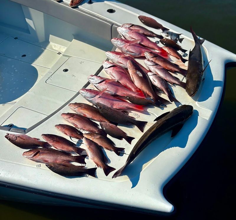 Shrimping Techniques That Surprised Everyone