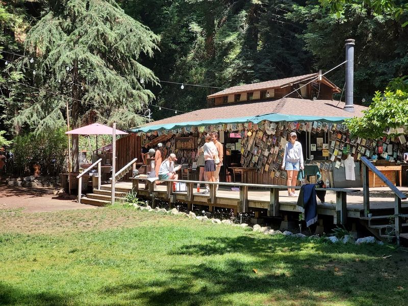 The Outdoor Space And Redwood Setting