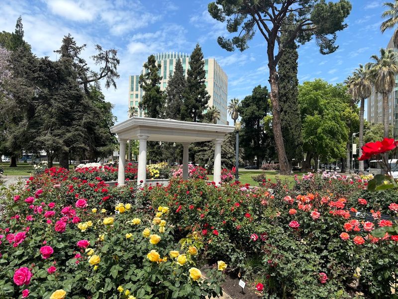 Most People Don't Know About This Stunning 40-Acre Rose Garden In California - Decor Hint Peak Bloom Season Makes The Garden Completely Transform