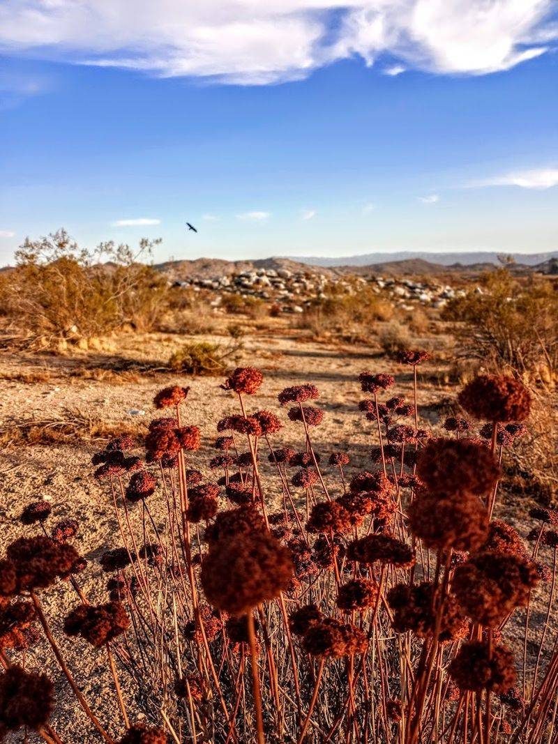 It Sits In The High Desert Of San Bernardino County