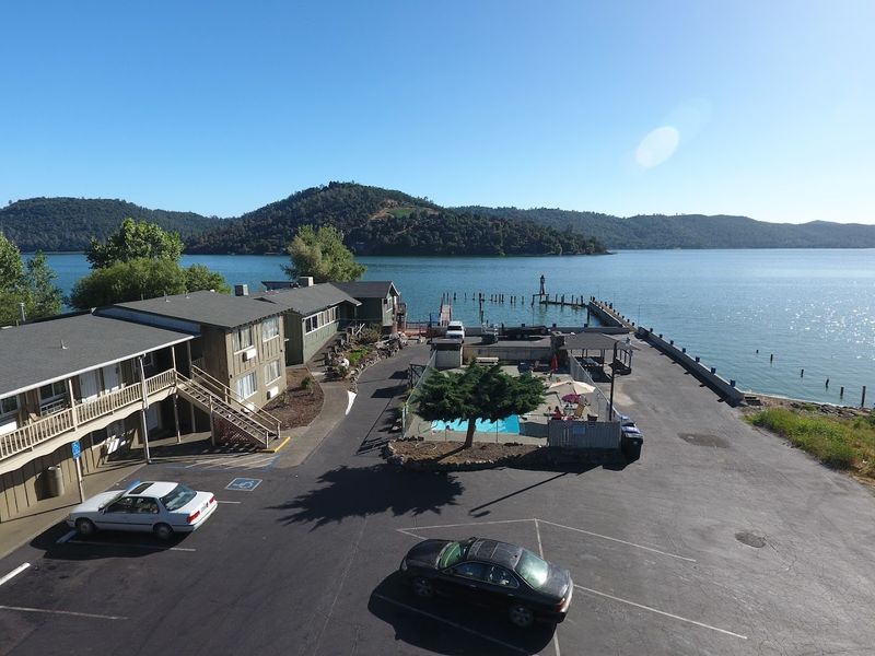 Population Size Keeps The Pace Of Life Manageable