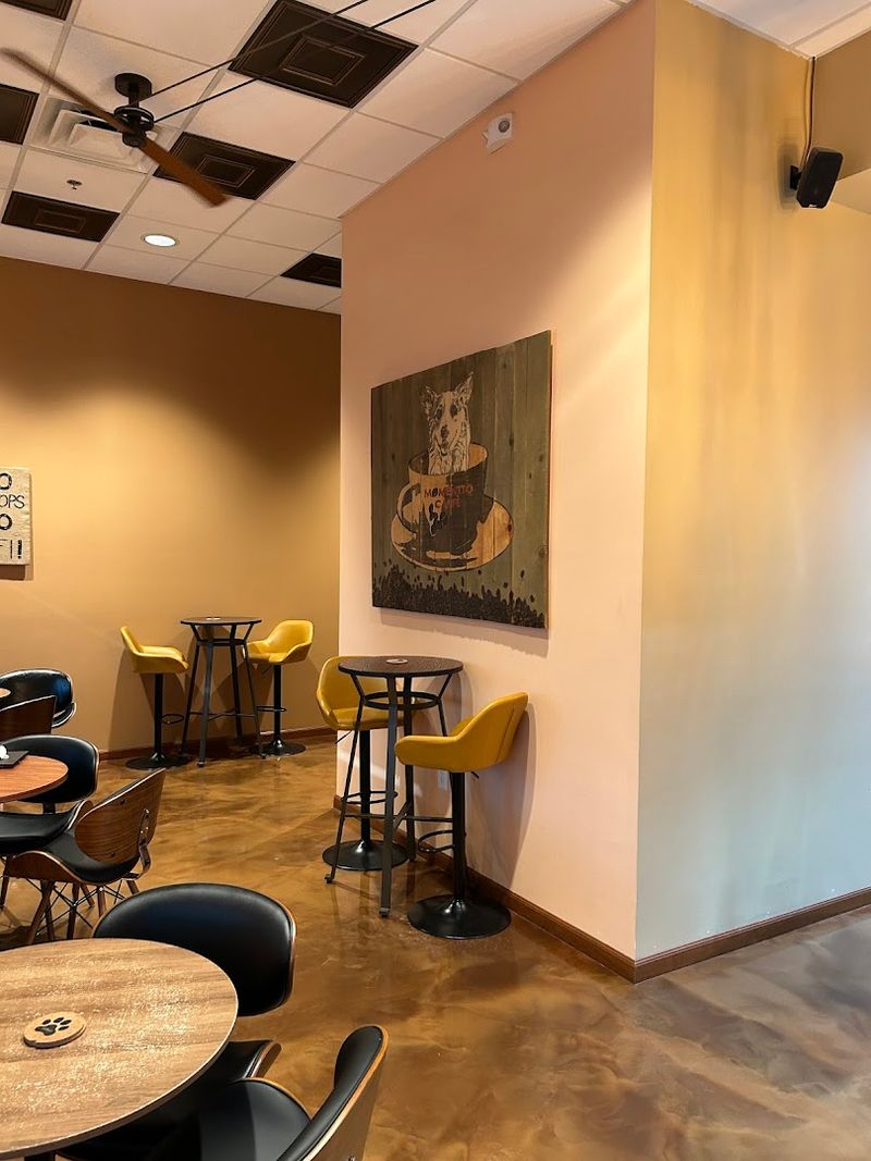 Momentto Coffee Roasters