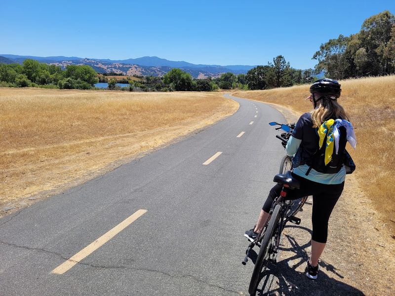 Wildlife Along The Route 