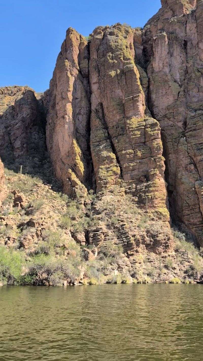 Wildlife Sightings That Catch You Off Guard