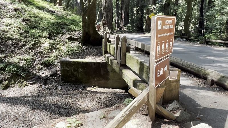 The Pioneer Nature Trail Offers An Easy Self-Guided Walk Through The Grove