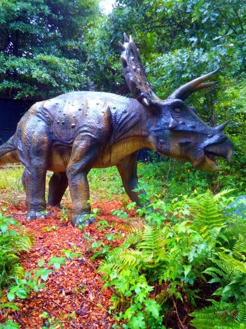 Why This Georgia Adventure Sticks With You