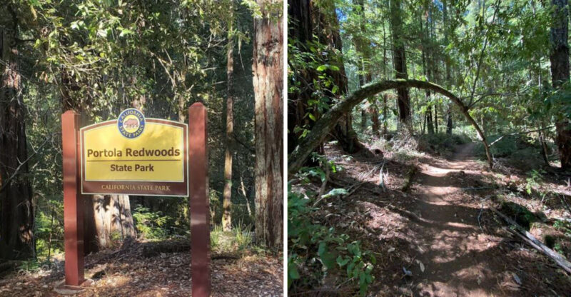 The Enchanting State Park In California That’s Straight Out Of Jurassic Park