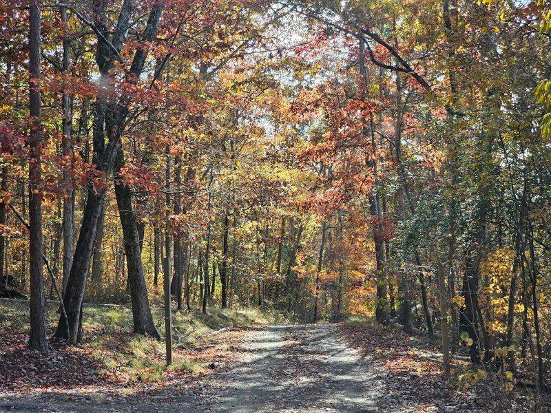 Wildlife Encounters Are Part Of The Deal