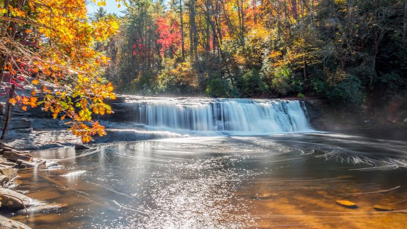 Second Stop Steals The Show