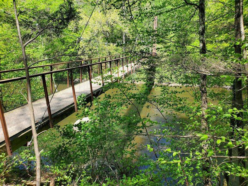 Discover The Tranquil Waterways And Hidden Streams