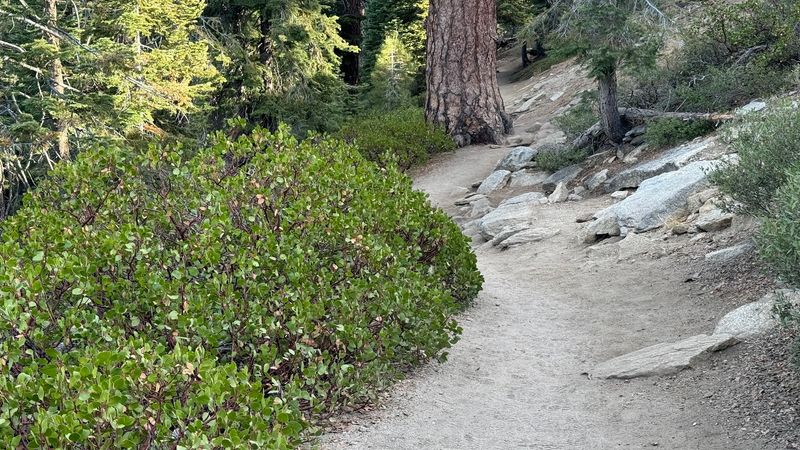 You Haven't Explored California Until You've Hiked This 2.2-Mile Trail With Million-Dollar Vistas - Decor Hint Historical Background Of Taft Point