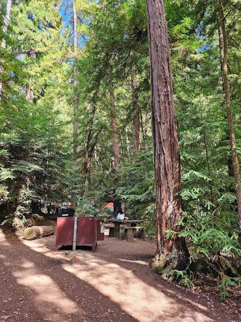 The Campground Turns a Day Trip Into a Full Forest Weekend