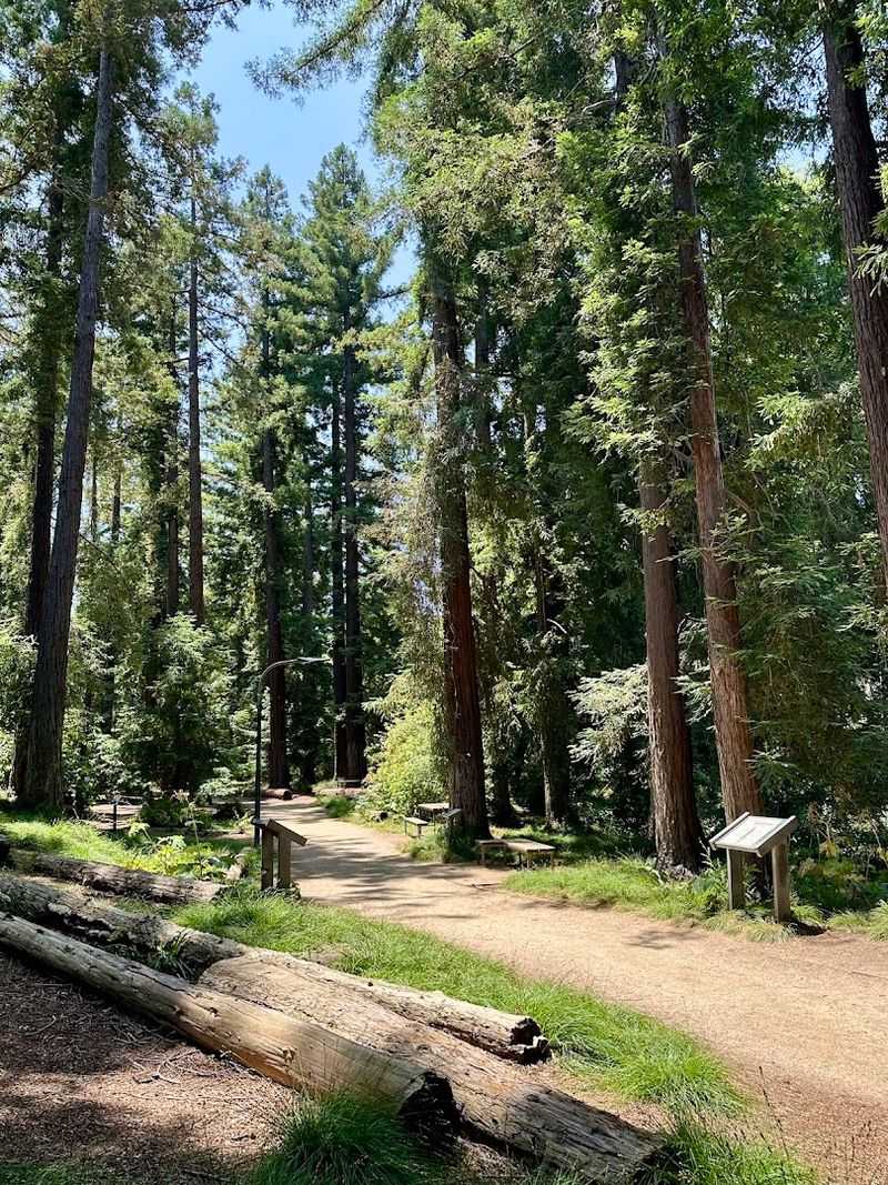 Learning By Leading Student Internship Program