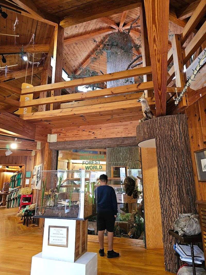 A Genuinely Family-Friendly Atmosphere