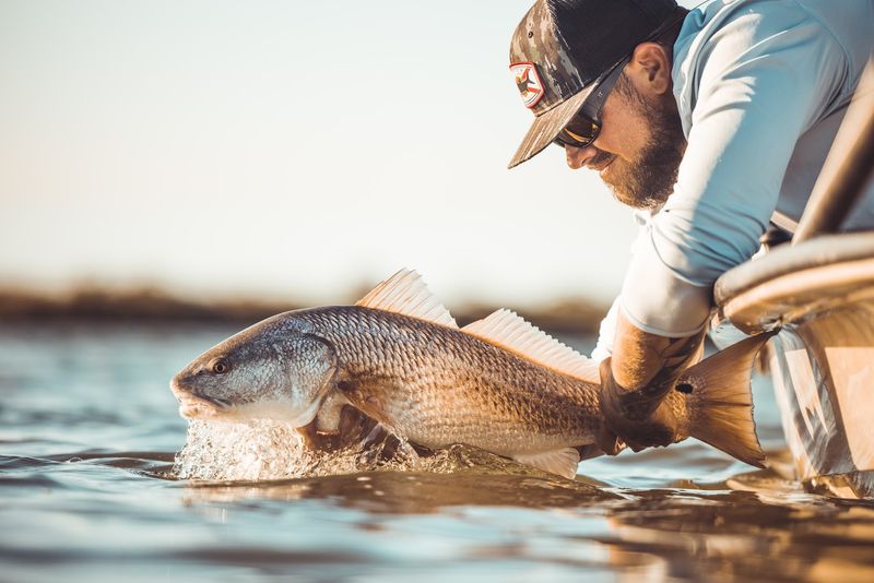Largemouth And Spotted Bass