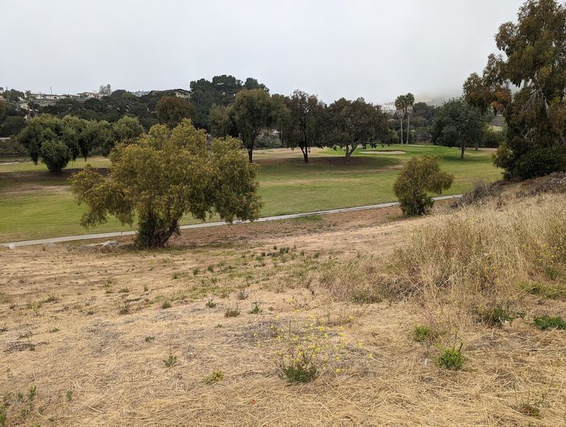 The Bob Jones Trail Connects Nature And Town
