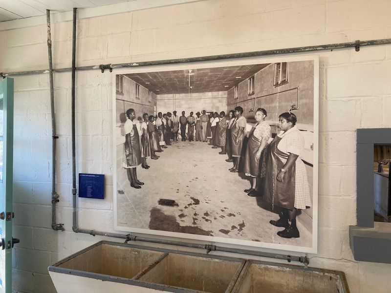 The Museum Tells A Community Story, Not Just A Timeline